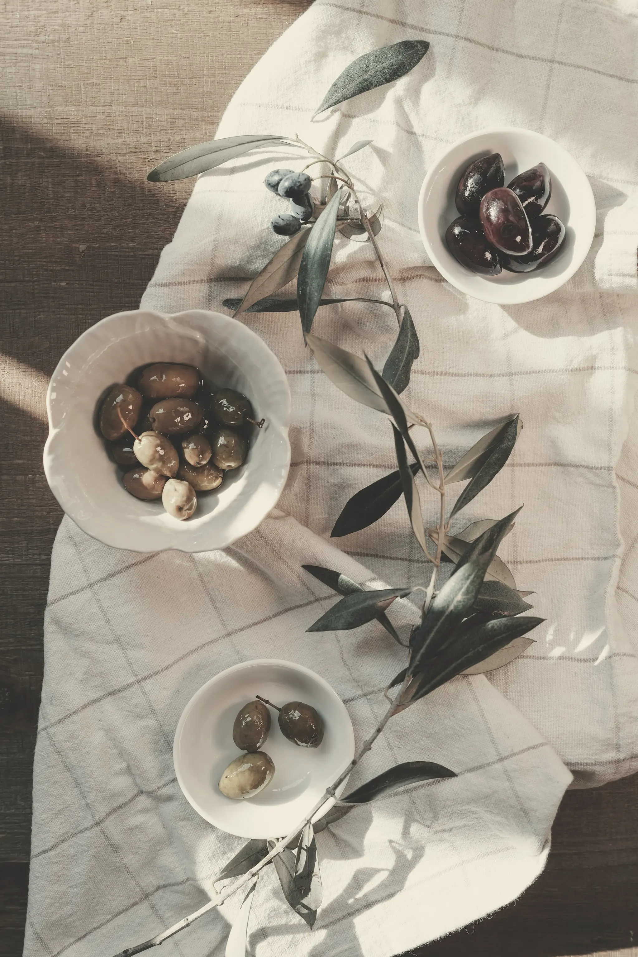 Olive e rami di ulivo su lino